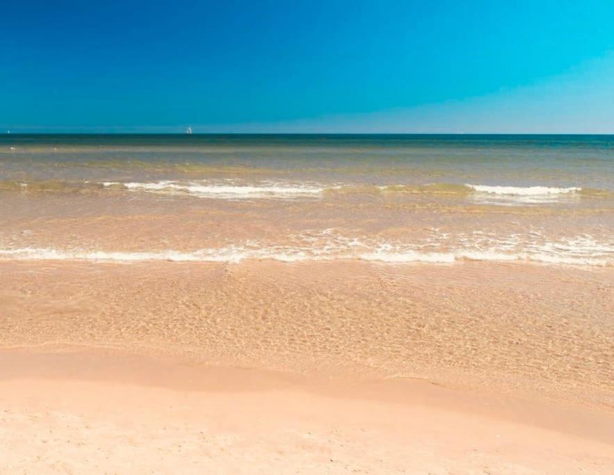 Impresionante Villa Con Piscina - Oliva Nova エクステリア 写真