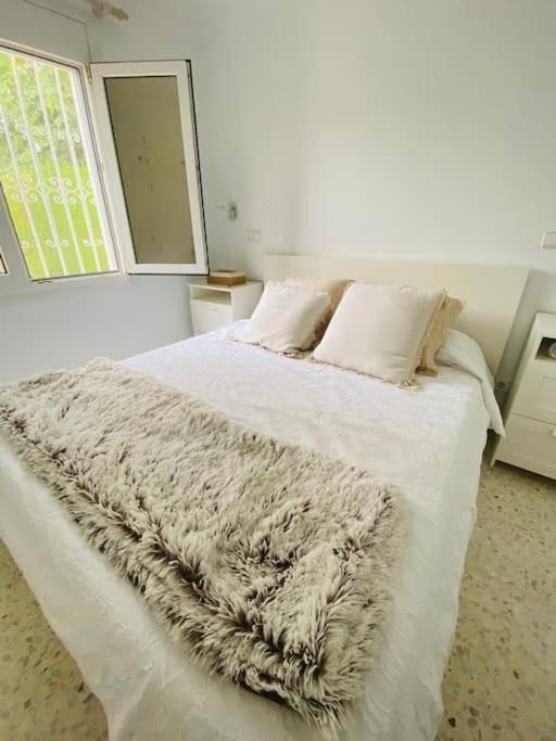 Impresionante Villa Con Piscina - Oliva Nova エクステリア 写真