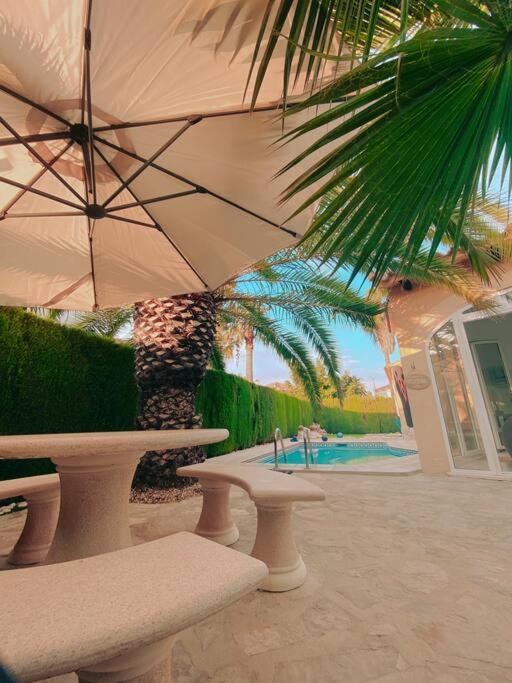 Impresionante Villa Con Piscina - Oliva Nova エクステリア 写真